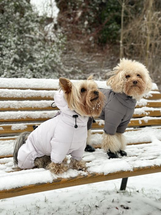 Zimowy kombinezon da psa, ręcznie szyty (szary, lilowy)
