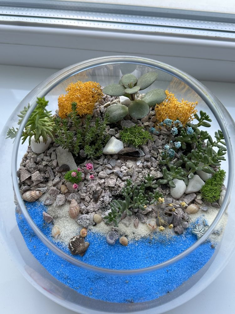 Флорариум с суккулентами, сухоцветами и стабилизированным мхом