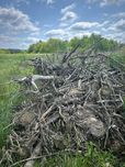 Gałęzie drewno korzenie oddam za darmo zrębka opał