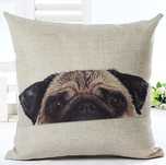 Capa Fronha Almofada Sala Cão Pug vários
