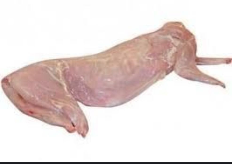 Мясо кролика домашнє)