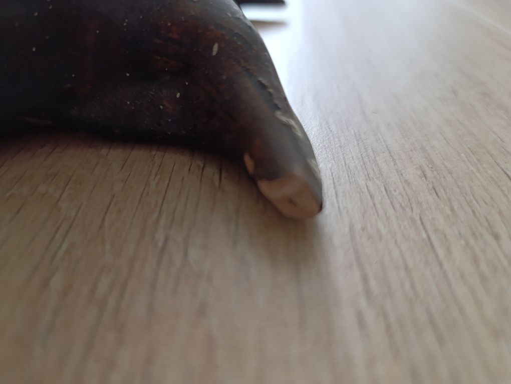 Ceramiczna osłonka doniczki drzewo korzeń pień