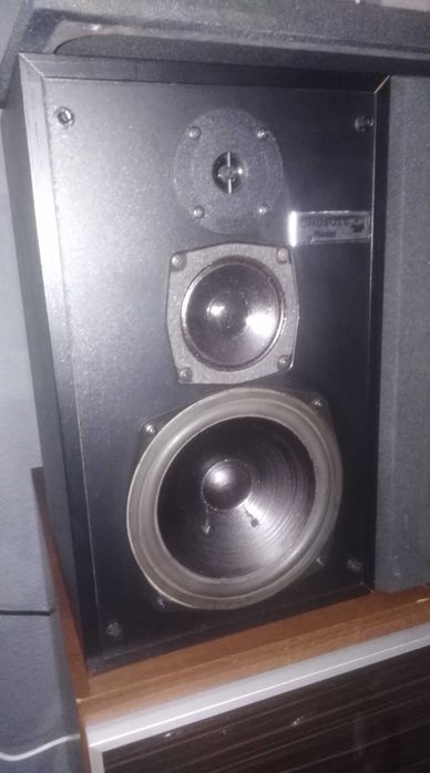 Kolumny Magnat SonoBull monitory