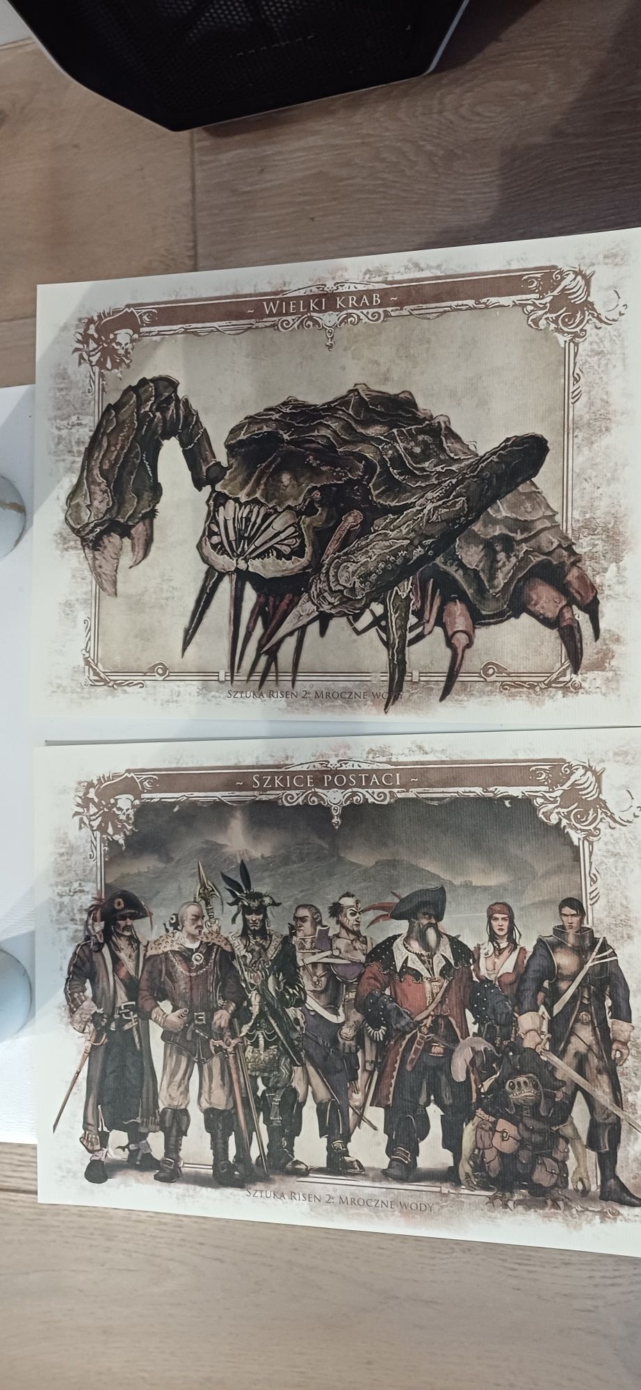 Risen 2 Dark warter pocztówki art kolekcjonerskiej