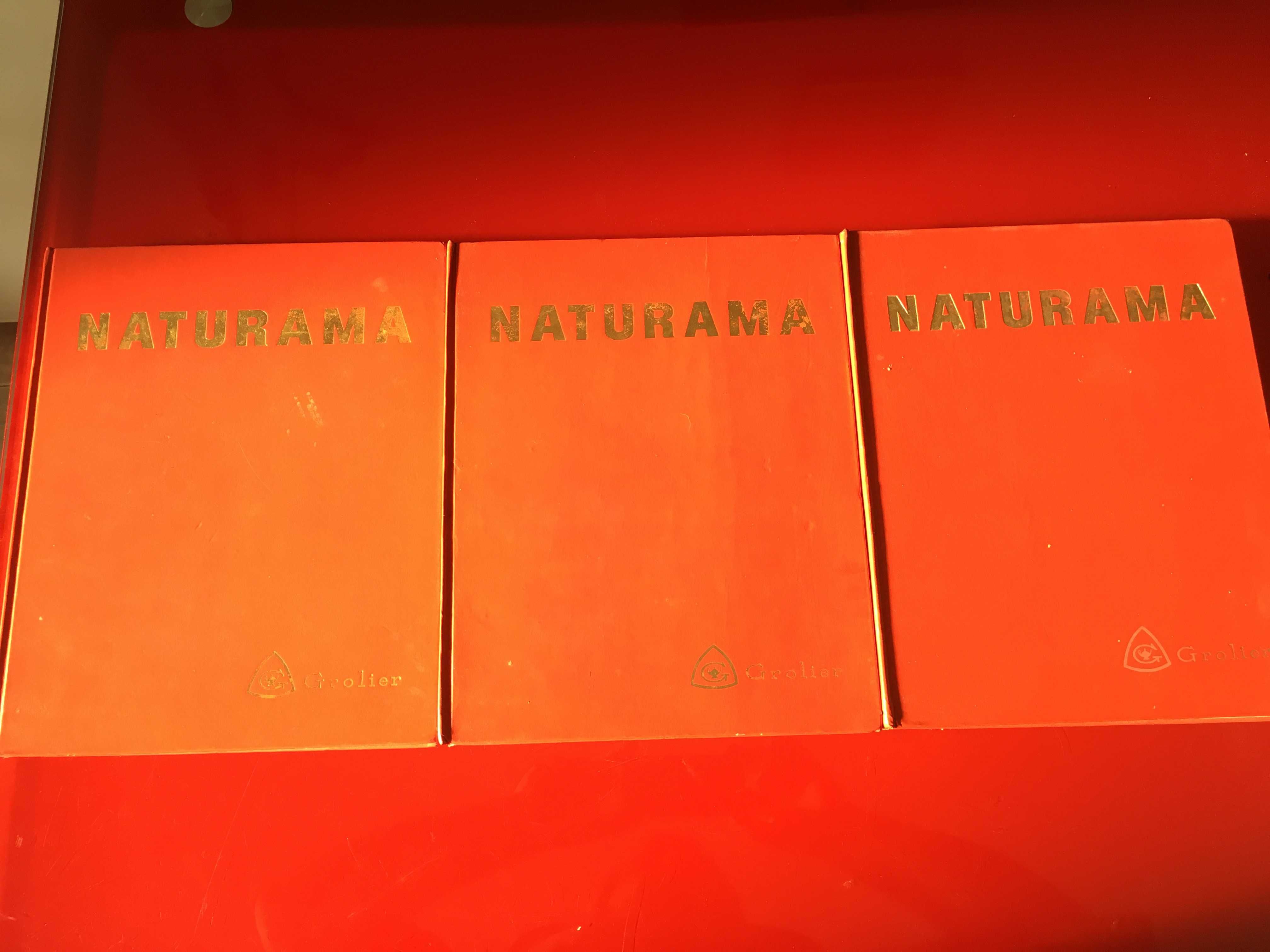 3 volumes da Naturama