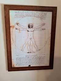 Quadro "O Homem Vitruviano" de Leonardo Da Vinci