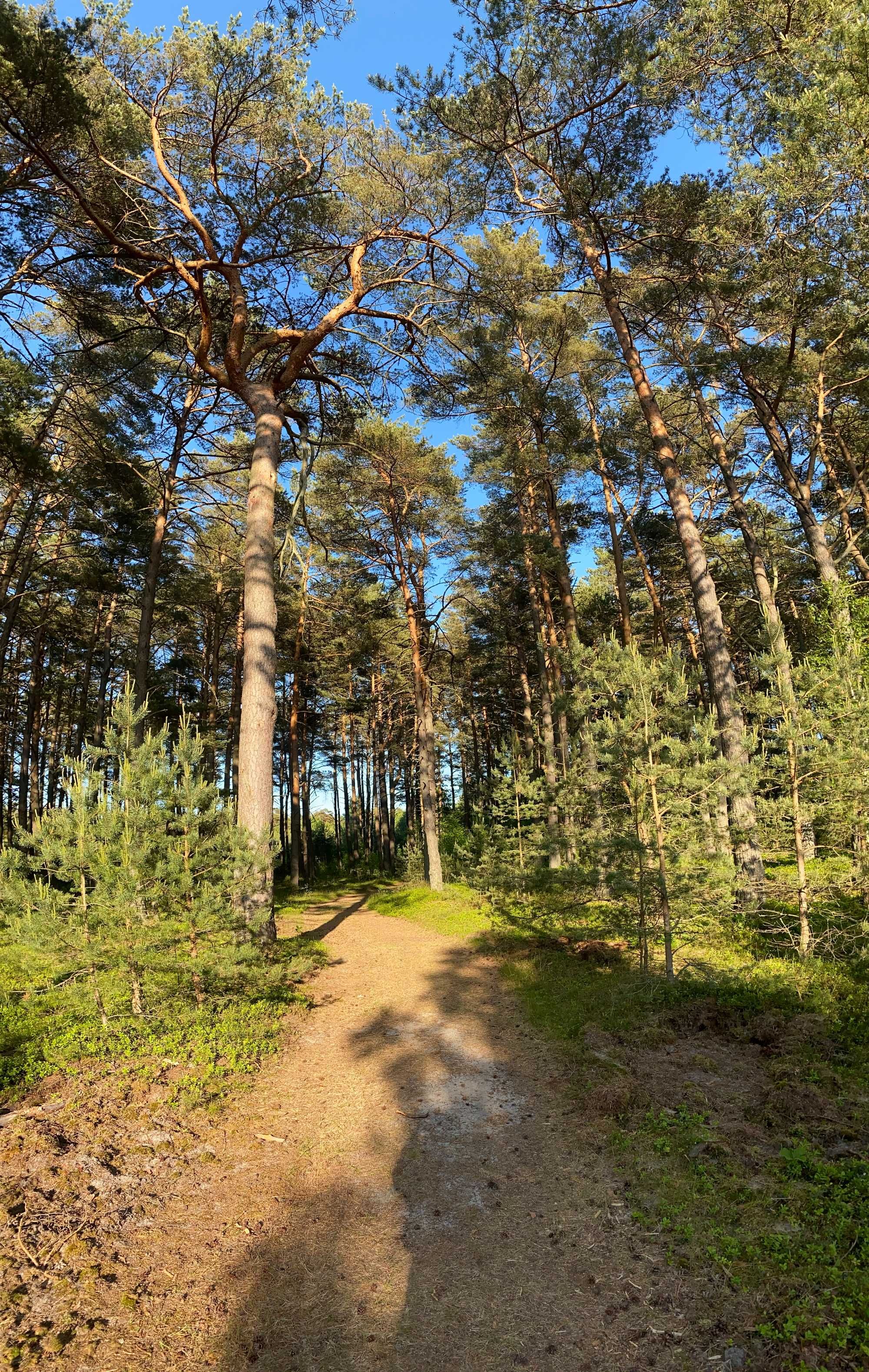 Domki nad morzem „Leśne Zacisze” Jastrzębia Góra Ostrowo