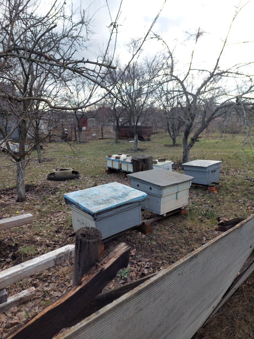 Хата без документов (под дачу), дом