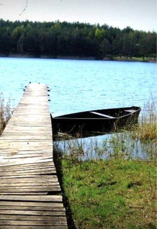 Działka  - Mazury, Brajniki, gm. Jedwabno ( Warchały, Narty)