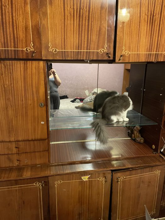 Віддам безкоштовно