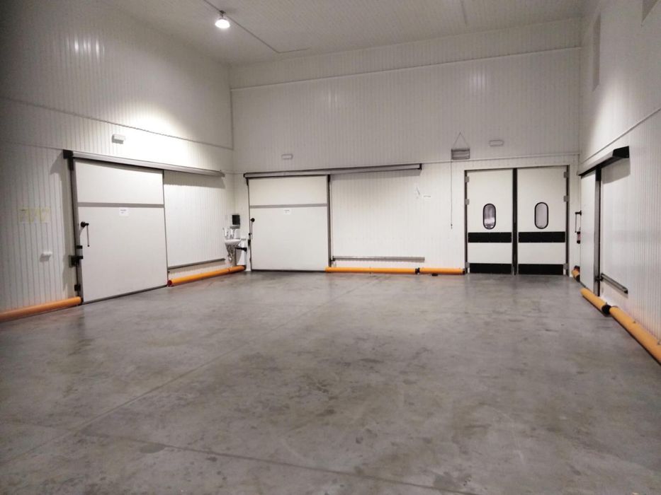 Magazyn mroźnia/ chłodnia