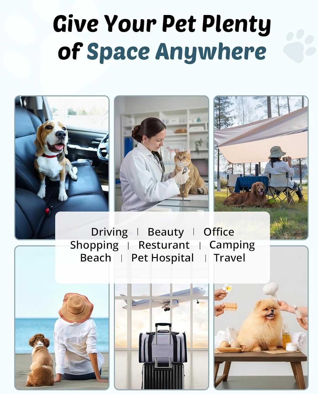 Transportadora Cães e Gatos