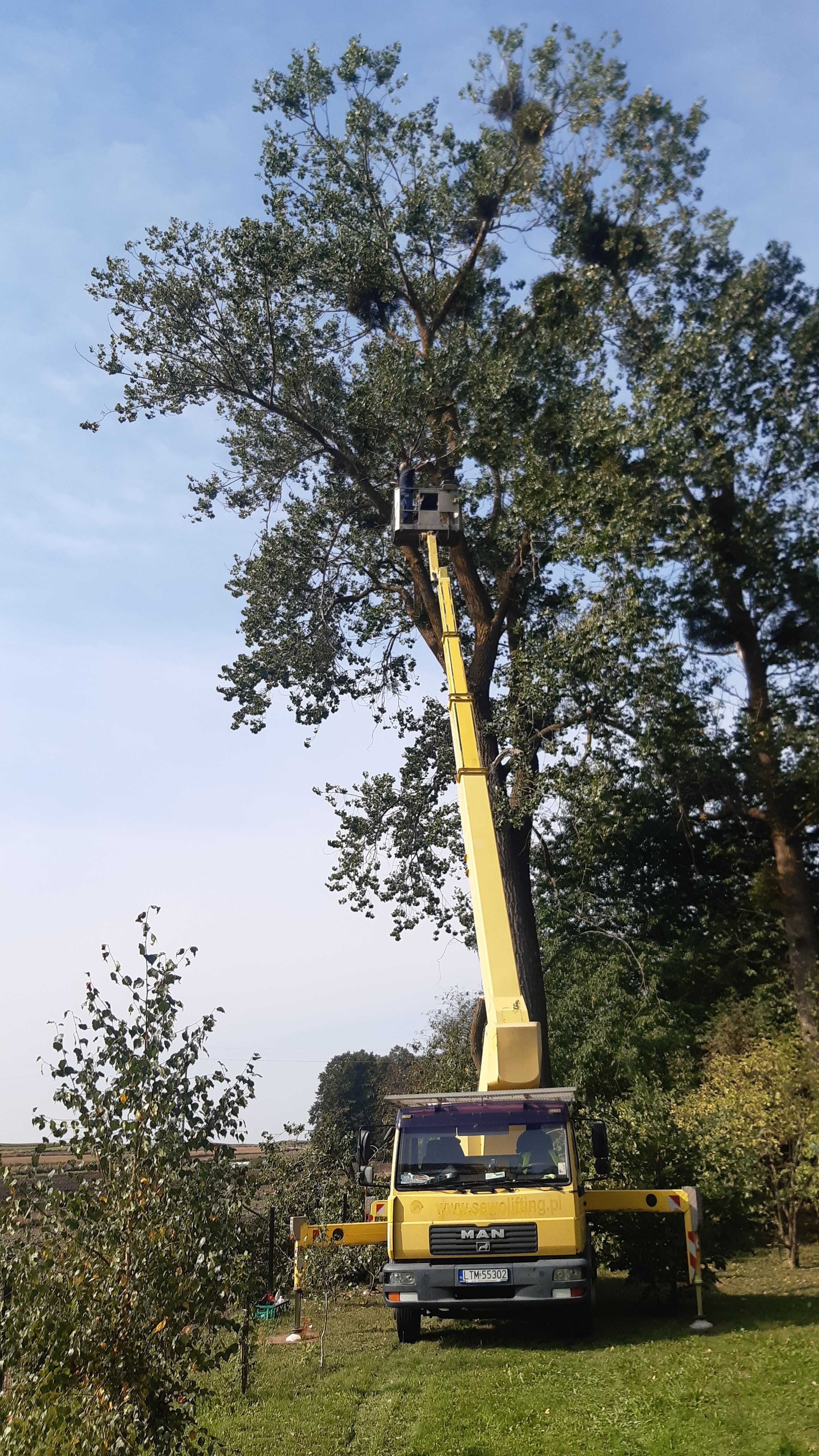 Usługi podnośnikiem koszowym 22-27m wycinka drzew.