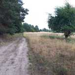 Duża Działka 7500m2,koło jeziora i nad rzeką, Stare Czarnowo 4złote m2