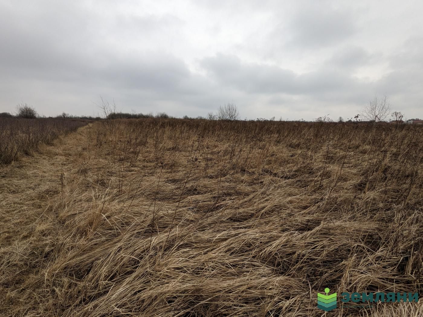 Продається ділянка 20 сот СГ призначення в с. Чукалівка