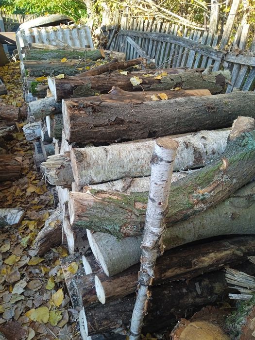 Drewno opałowe sprzedam