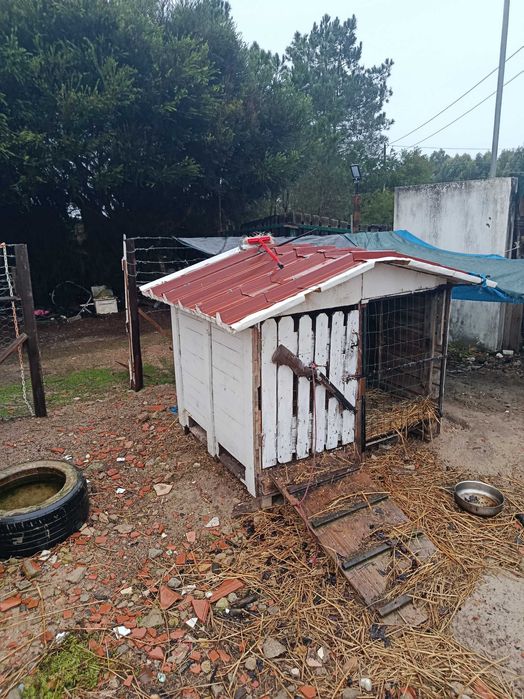 Casota para animais e comedouro