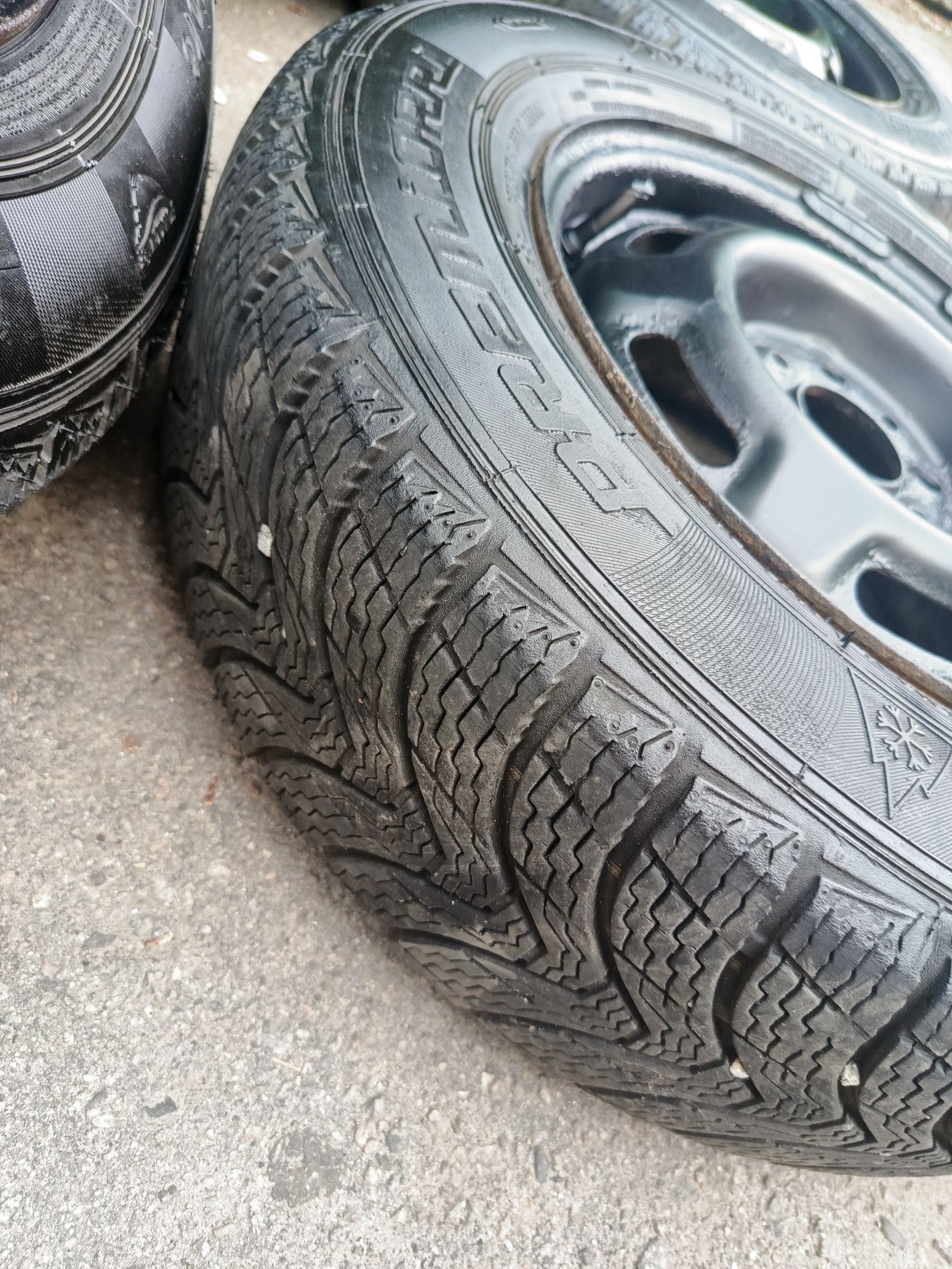 ГУМа (Резина) Premiorri 175.70 R13 2023 року.