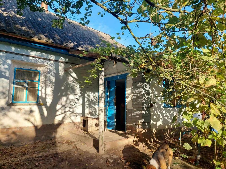 Продається будинок в селі Дібрівка, біля міста Миргород