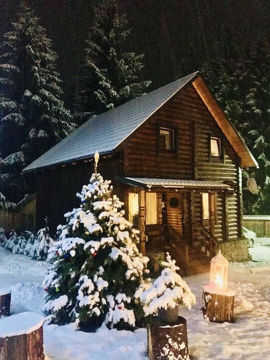 Затишний дерев'яний будиночок у тиші лісу на 6 гостей