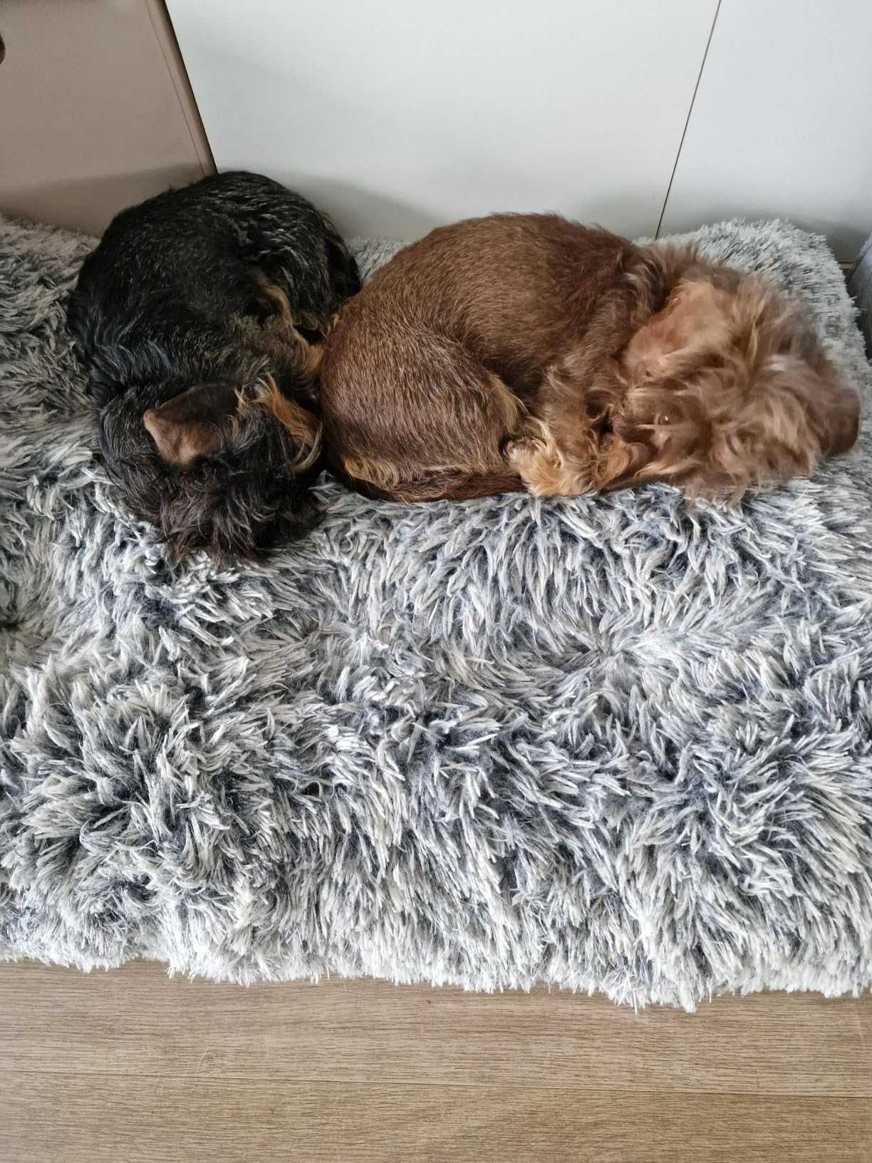 Duże legowisko puszysta poducha dla psa kota 80x50 cm