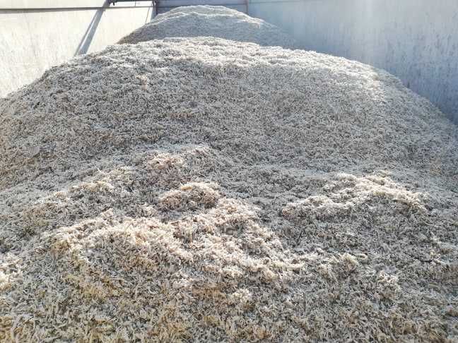 Wysłodki buraczane mokre. Cukrownia Glinojeck