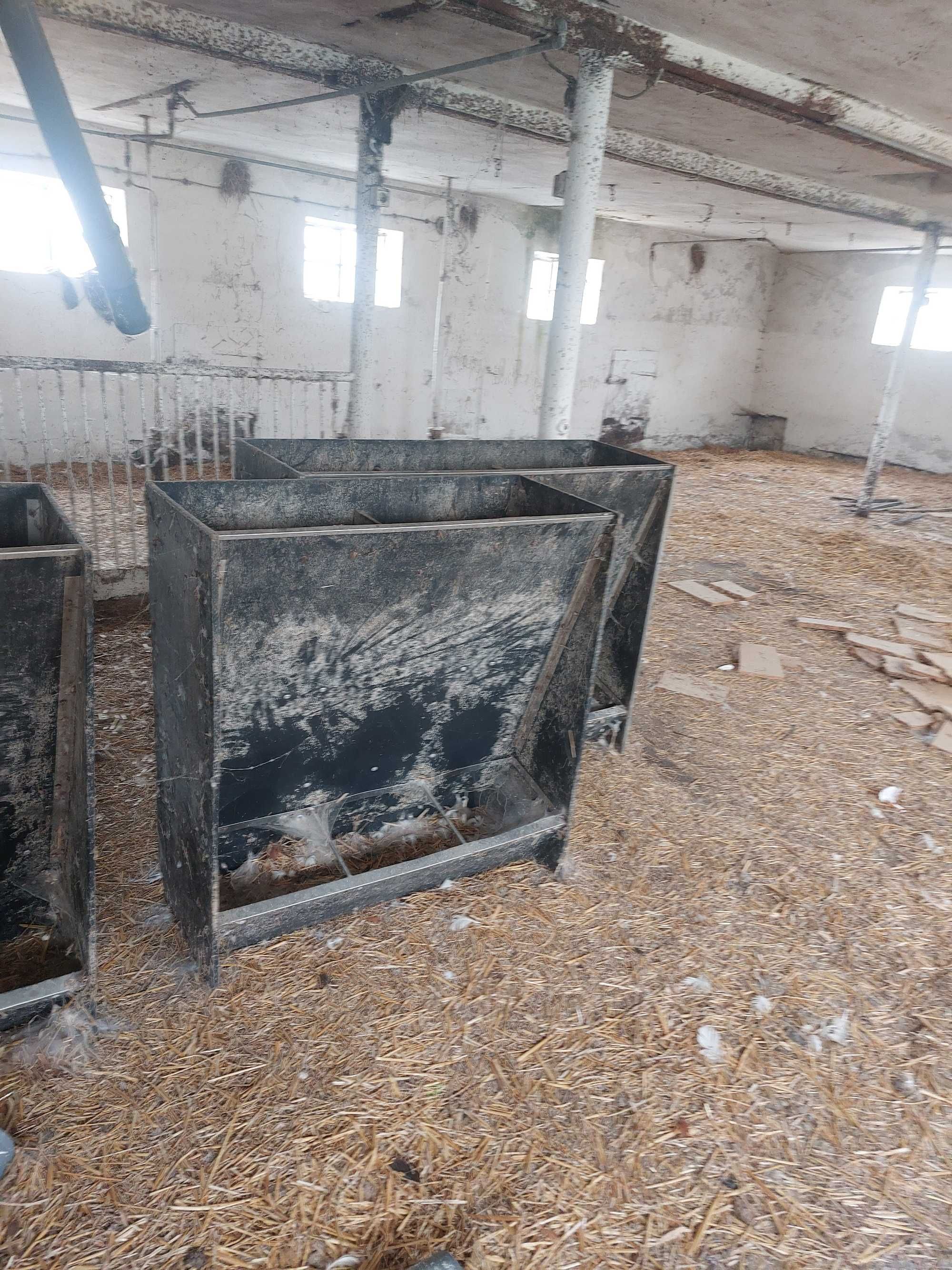 Karmniki dla bydla, świń, 5 sztuk, można kupić jeden
