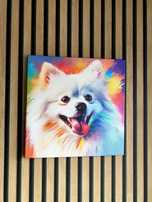 Obrazy z psami Buldog francuski, shiba, pomeranian, inne,różne wymiary