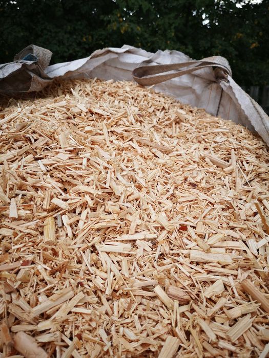 Zrębka iglasta big bag sosnowa