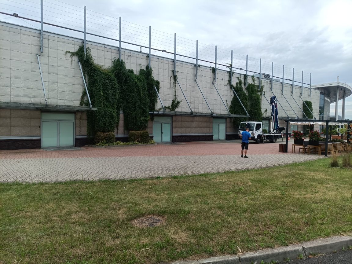 Przycinanie-chirurgia-drzew-żywopłotów i innych