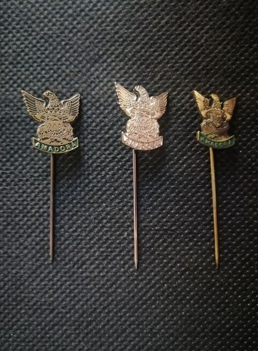 Conjunto 10 diferentes alfinetes lapela várias Associações Bombeiros