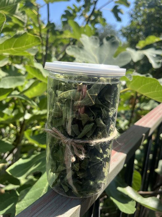 Чай инжирный, Иван-чай, листья инжира  урожай июль  2025