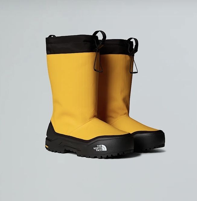 Чоботи The North Face