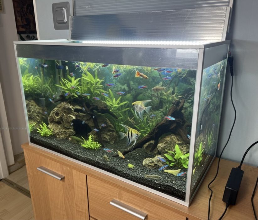 Akwarium 110L z oswietleniem LED i pokrywa ! 75x33x46cm