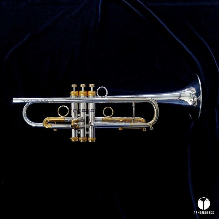 Trąbka Taylor Chicago 46 VR ustnik, futerał GAMONBRASS