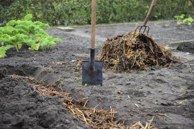 Obornik naturalny spod konia. w workach