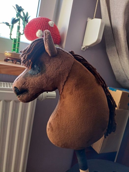 Hobby horse Rdn golony