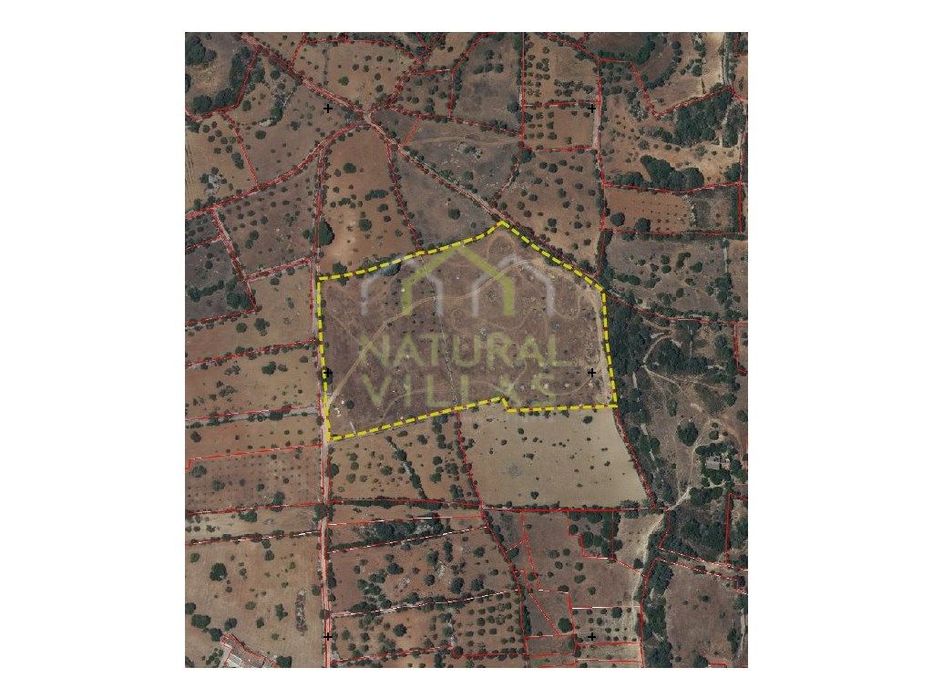 Terreno plano a 10 minutos de Estoi