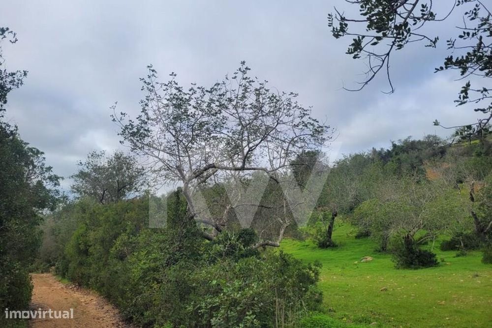 Terreno Rústico Com 5240M2 No Malhão-Paderne-Albufeira