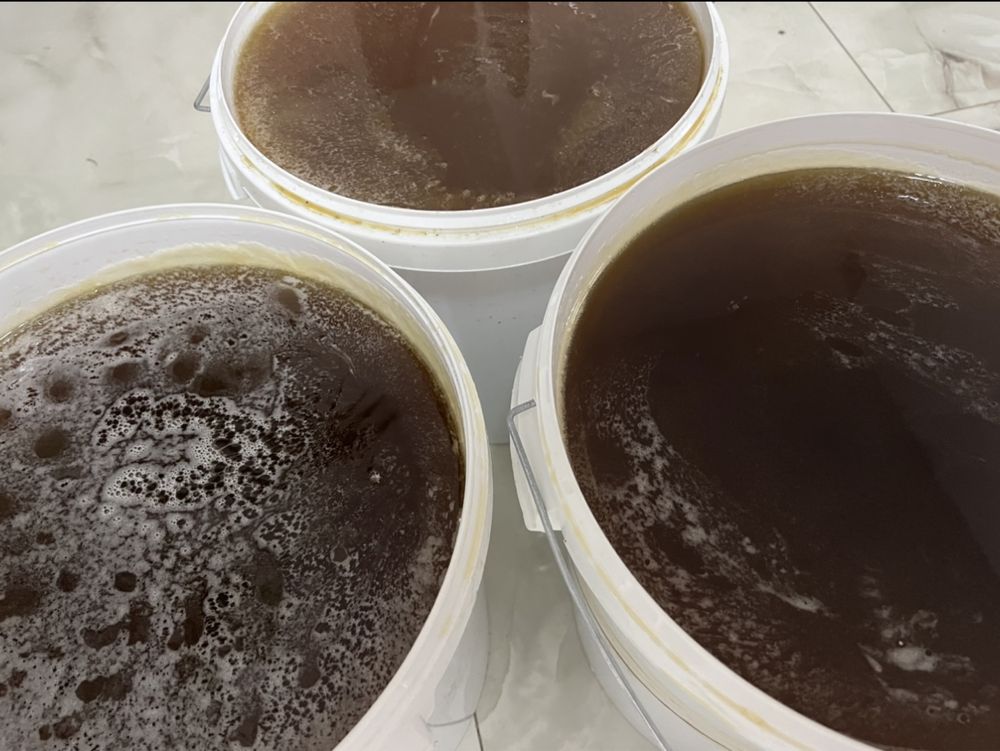miod, miod leśny pasieki rodziny matki naturalne miody pszczele
