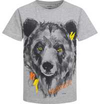 T-shirt Koszulka dziecięca chłopięca 164 Bawełna Szara Niedźwiedź Endo