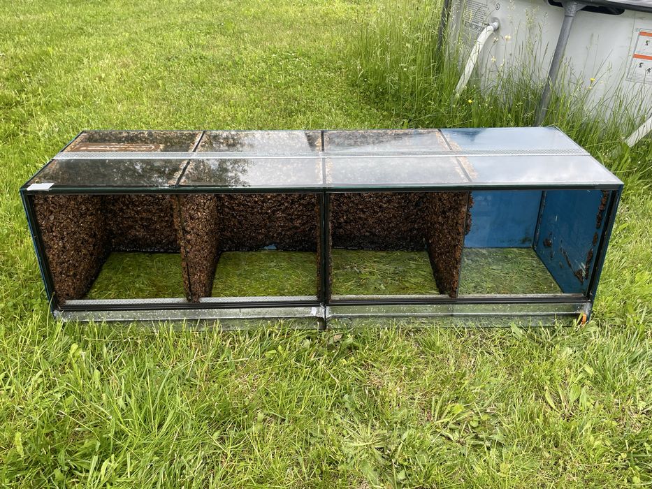 Terrarium duże 4 komory