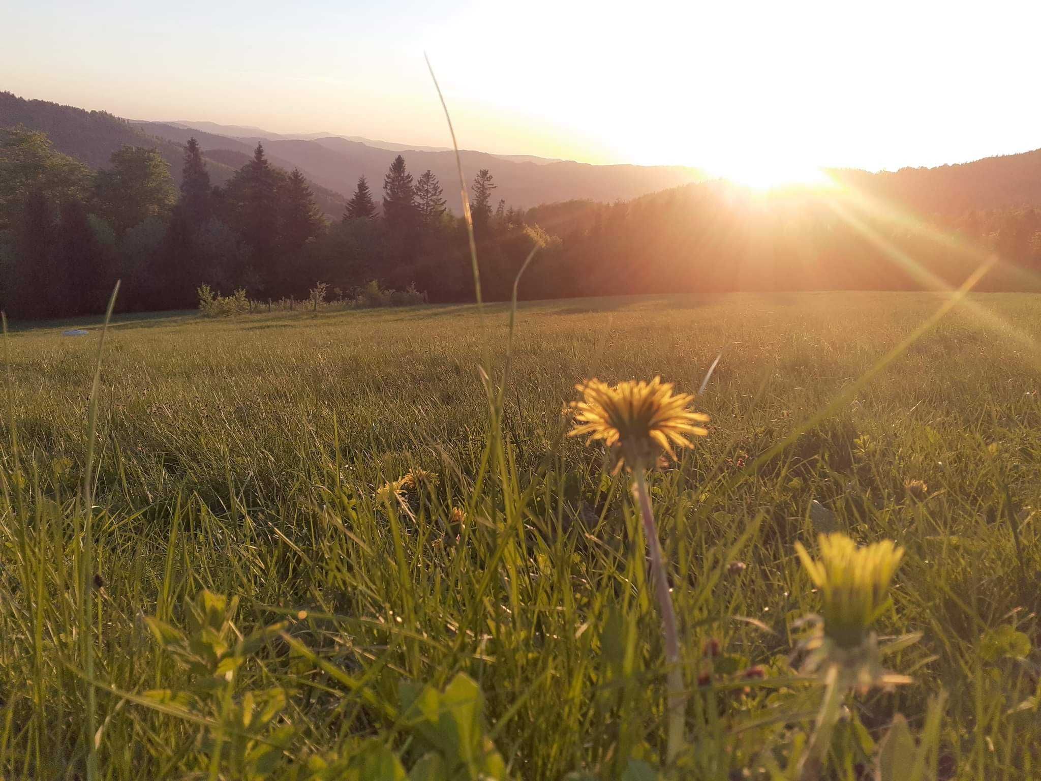 Wolne pokoje Beskidy Węgierska Górka