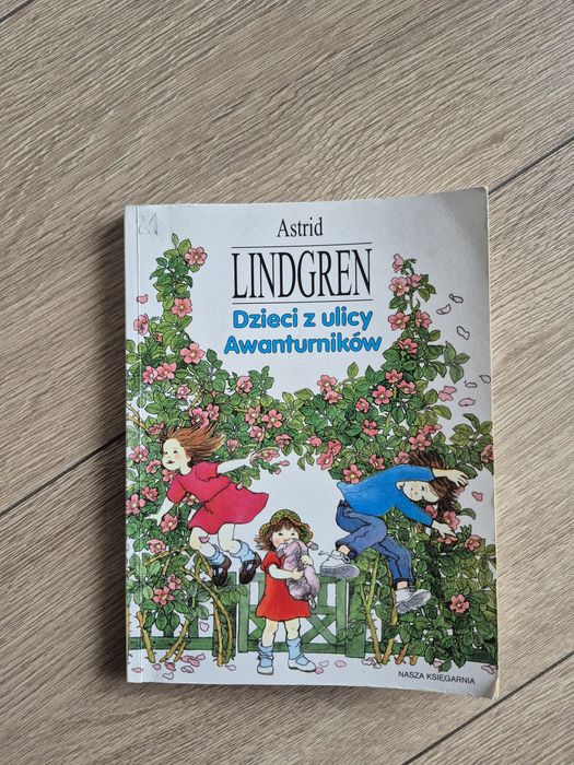 Dzieci z ulicy Awanturników