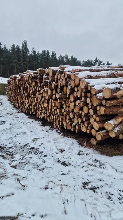 Sprzedam drewno sosnowe 2.5mb 120m3