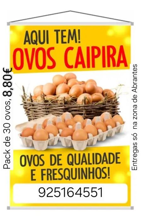 Ovos de galinha caseiros