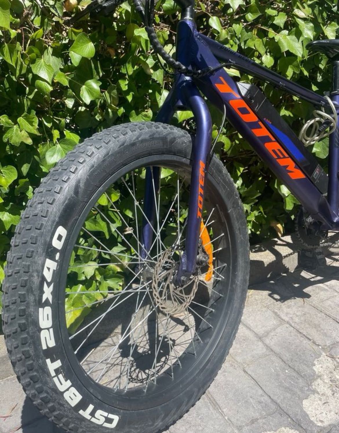 E-Bike Totem, Fatbike 26'' Wild Boar