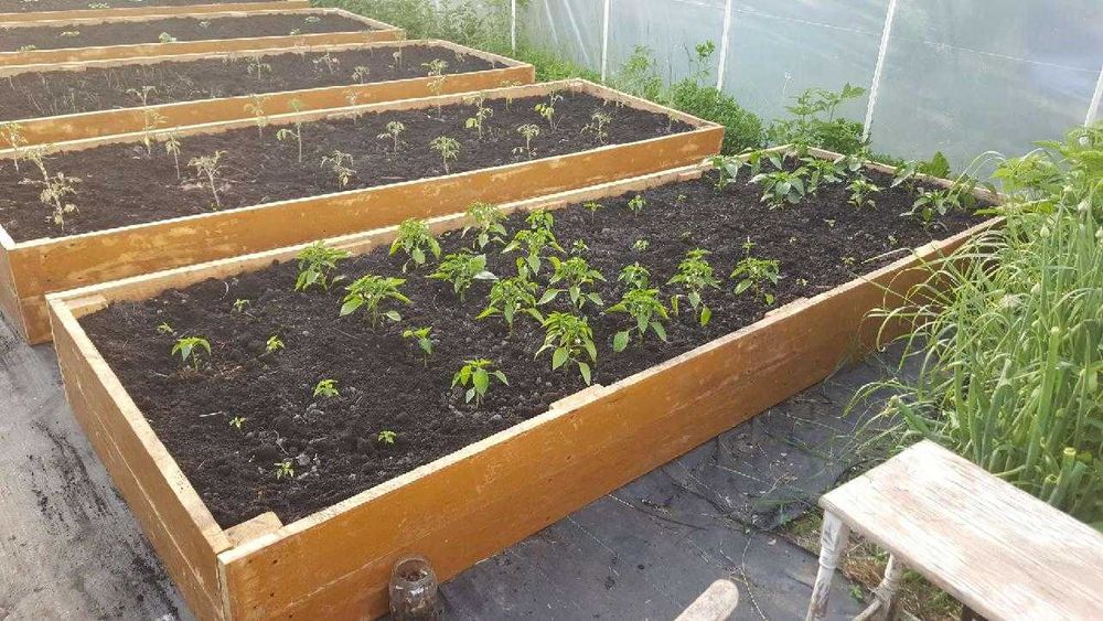 Ziemia czarnoziem, humus ogrodowa przesiewana pod warzywa trawnik