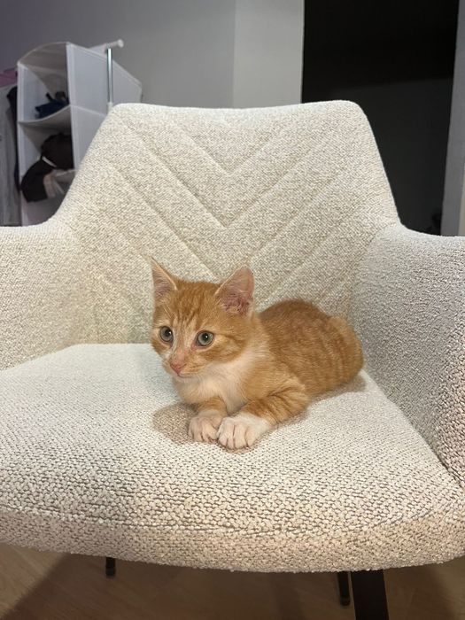 Franio i Jadzia około trzech miesięcy