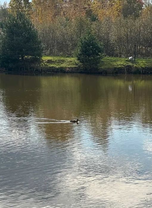 Продаж унікального Відпочинкового комплексу На Озерах